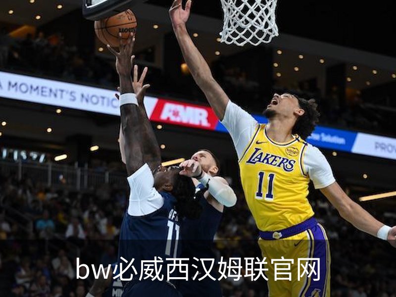 bw必威西汉姆联官网概况